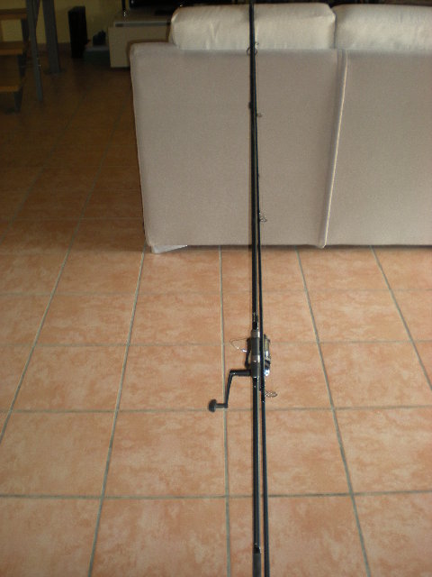 DSCN8675.JPG