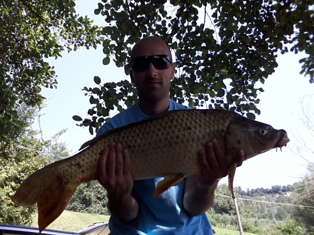 carpa.jpg