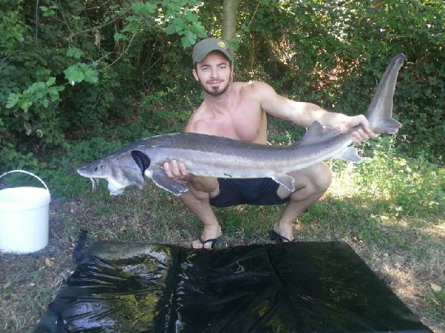 13kg.jpg
