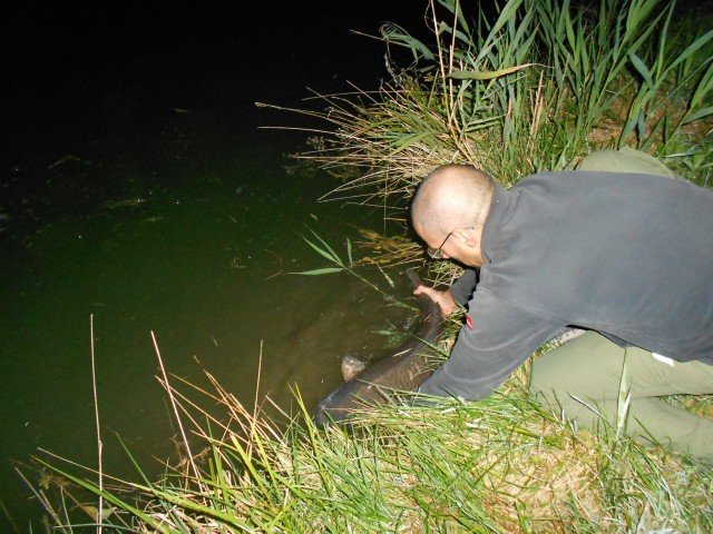P03.jpg