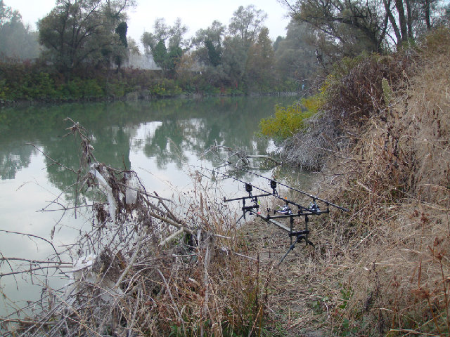 016 ridotta.jpg
