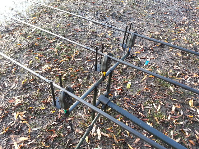 20131101_074609.jpg
