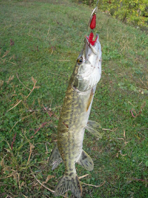 DSCN1716.JPG