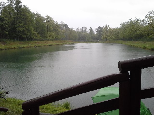20140430_112159.jpg