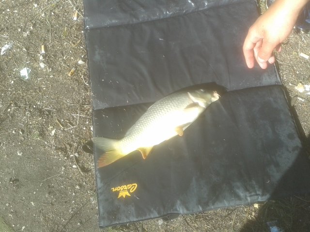 20140808_085515.jpg (267.38 KiB) Visto 2954 volte 20140808_085515.jpg