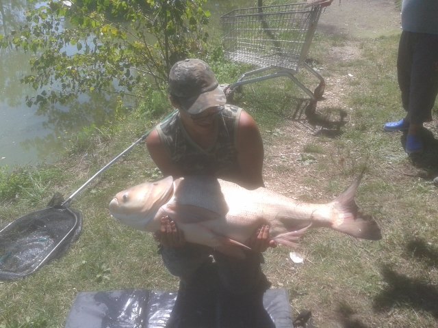 20140808_121327.jpg (297.48 KiB) Visto 2965 volte 20140808_121327.jpg