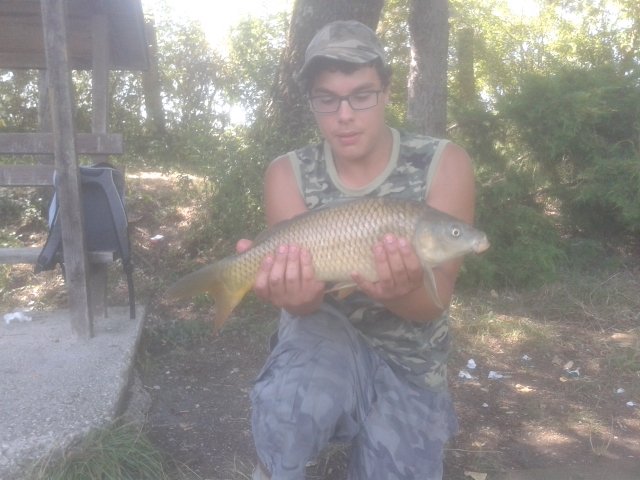 20140808_150354.jpg (252.89 KiB) Visto 2954 volte 20140808_150354.jpg