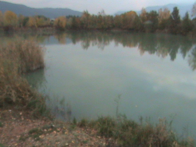 DSC00010.JPG