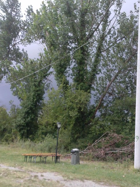 CAM00368.jpg