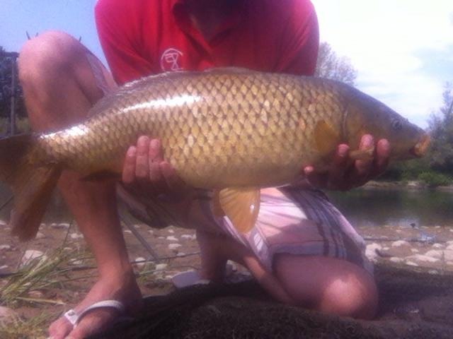 carpa magra 3.jpg