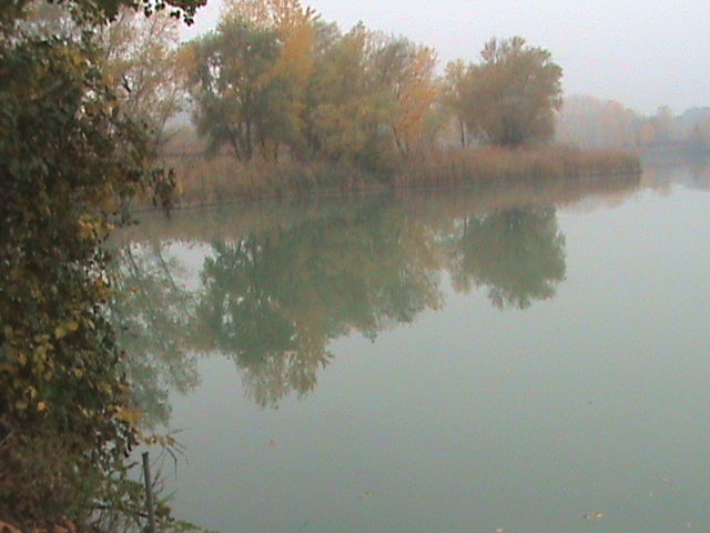 DSC00014.JPG