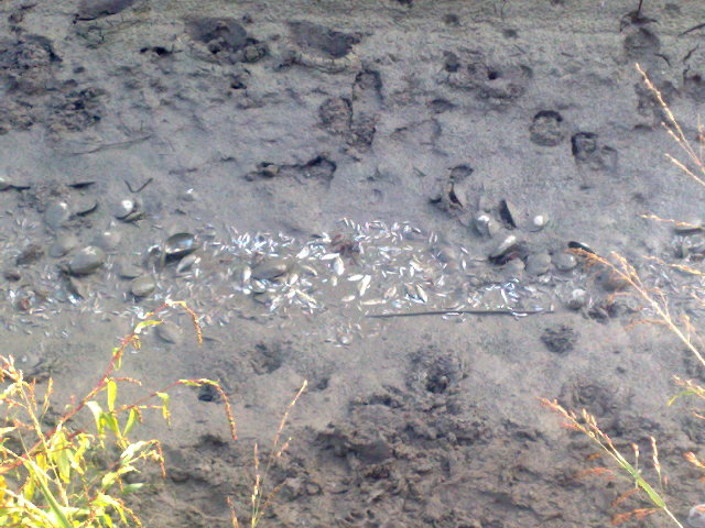 28092009320.jpg