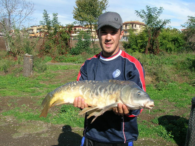 DSCN2786.JPG