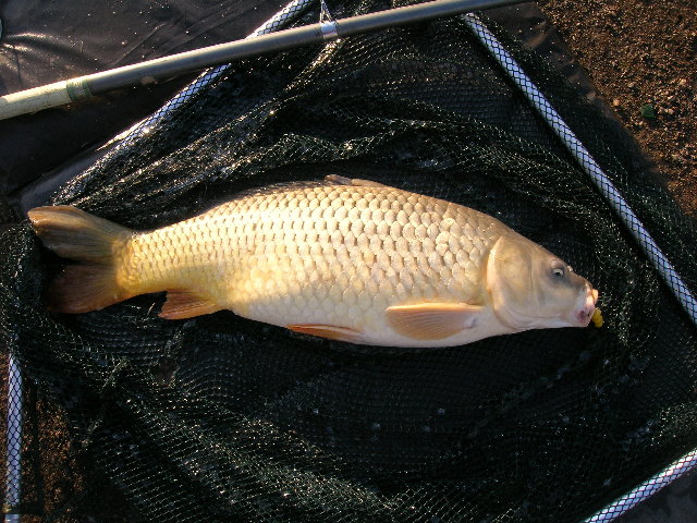 DSCN2808.JPG