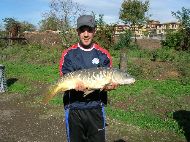 DSCN2783.JPG