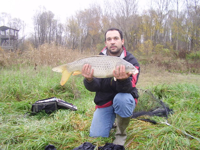 PB230058.JPG