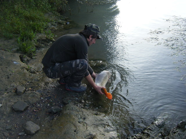 DSCF0324.JPG