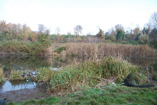 DSC_0608.JPG (2.33 MiB) Visto 6667 volte DSC_0608.JPG