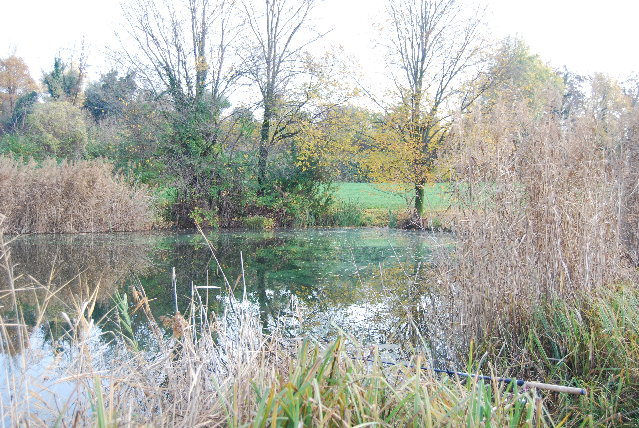 DSC_0610.JPG (2.35 MiB) Visto 8251 volte DSC_0610.JPG