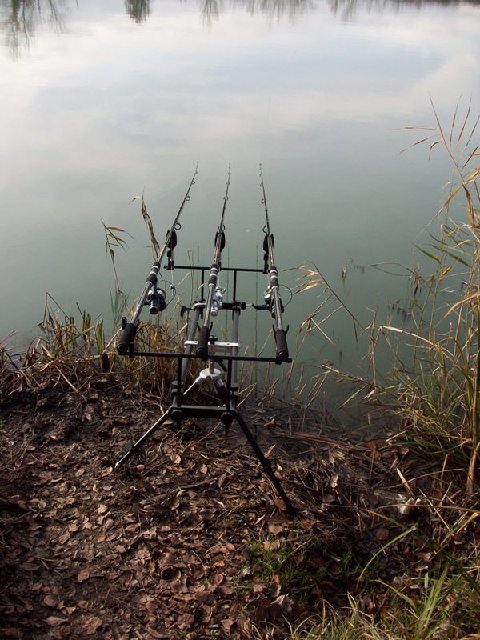 100_0138.jpg