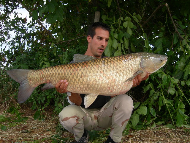 DSCN1789.jpg