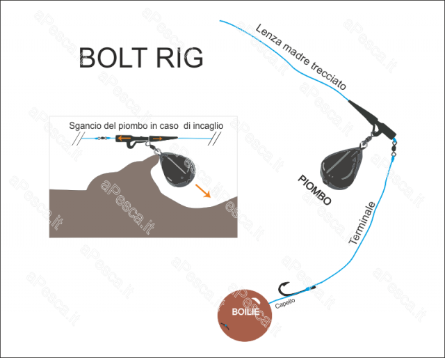 Bolt-Rig.png