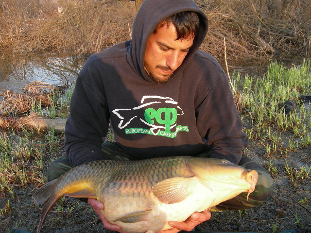 DSCN1637.JPG