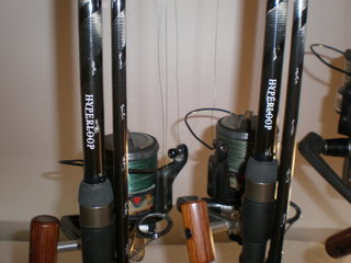 p9080279[1].jpg