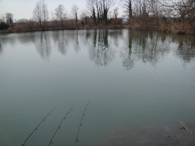 015ridotta.jpg (99.41 KiB) Visto 3366 volte 015ridotta.jpg