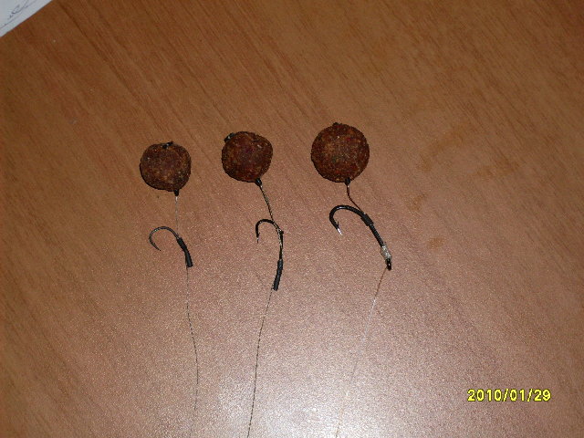SDC10201.JPG