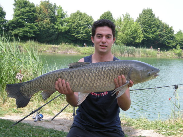 12 kg.JPG