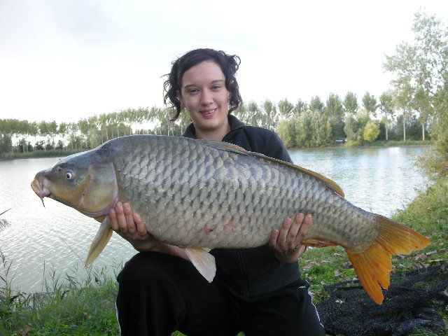 14 kg.JPG