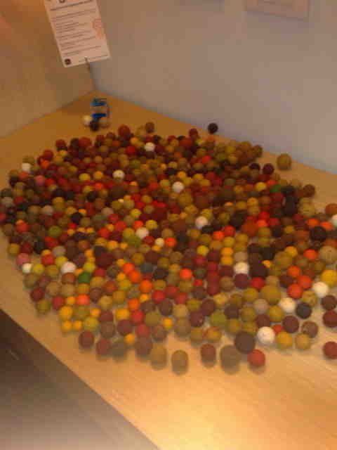 06022010450.jpg