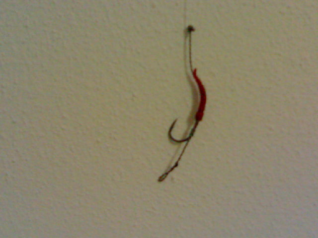 10022010277.jpg