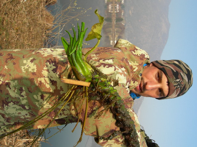 DSCN1604.jpg