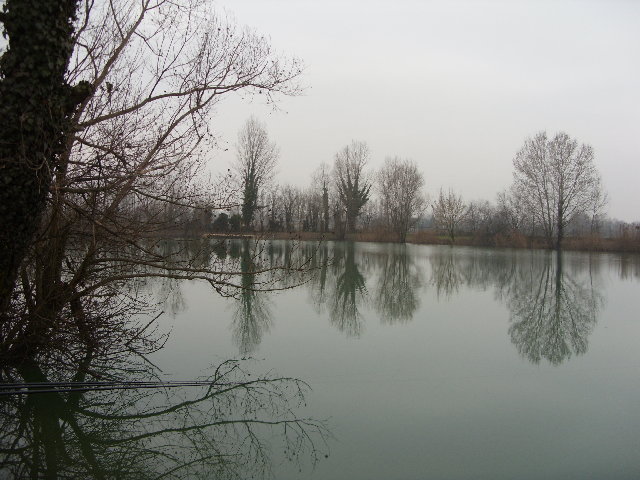 SDC10096.JPG
