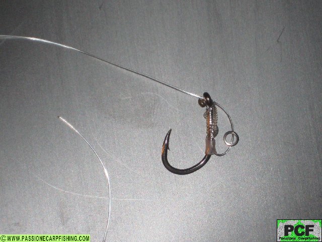 d-rig5.jpg