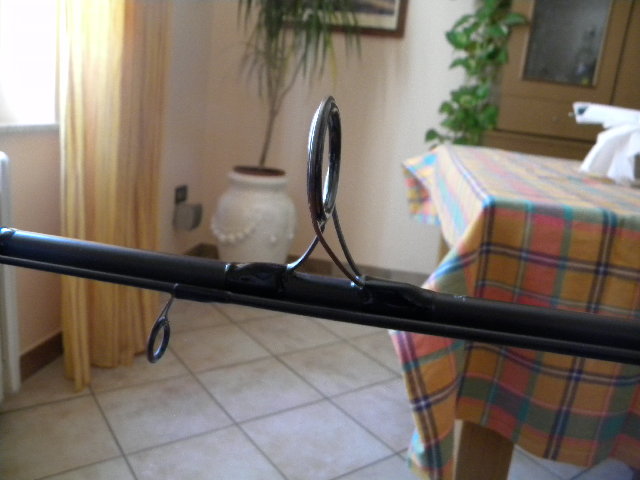 canne 003.JPG