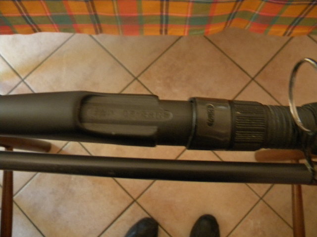 canne 005.JPG