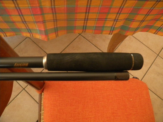 canne 006.JPG