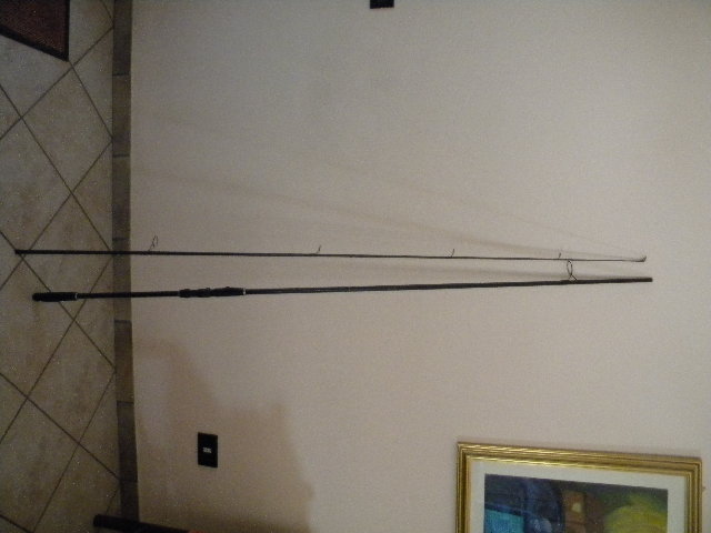 canne 008.JPG