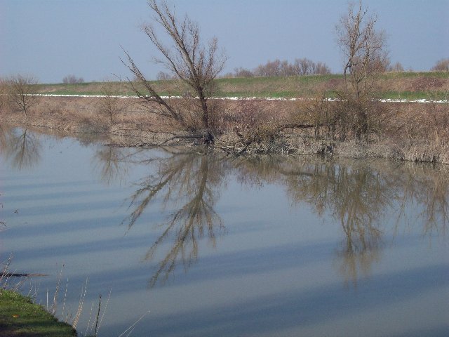 100_1174.JPG