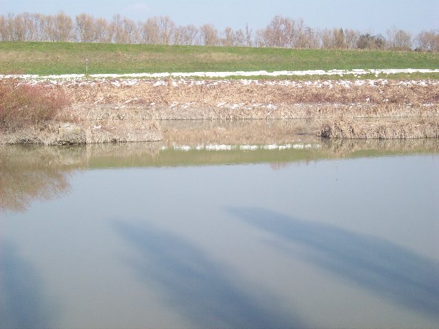 100_1173.JPG