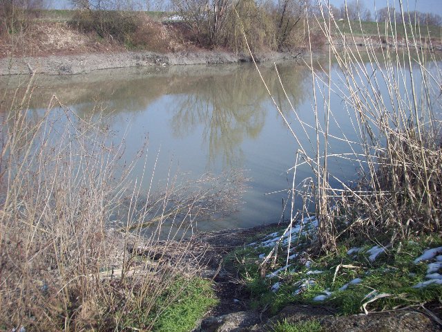 100_1177.JPG
