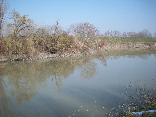 100_1176.JPG