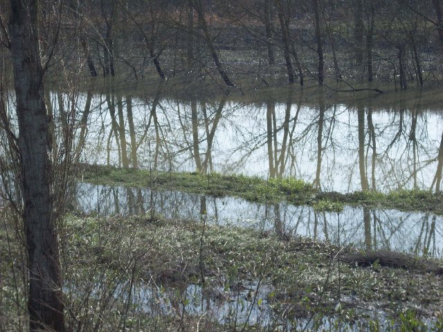 100_1172.JPG