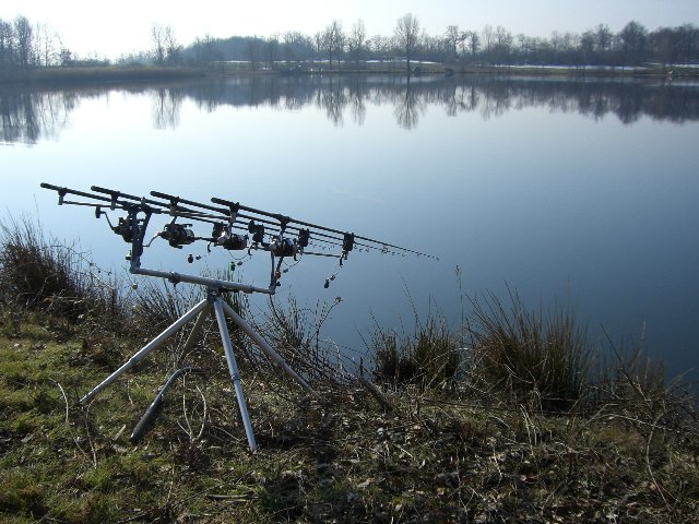 CIMG7660.JPG