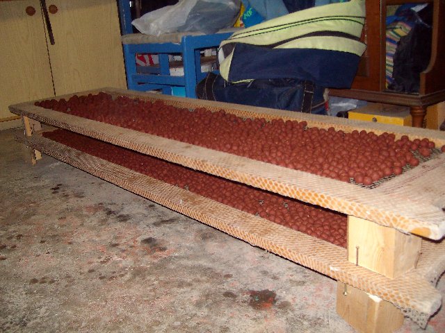 ALIM2316.JPG