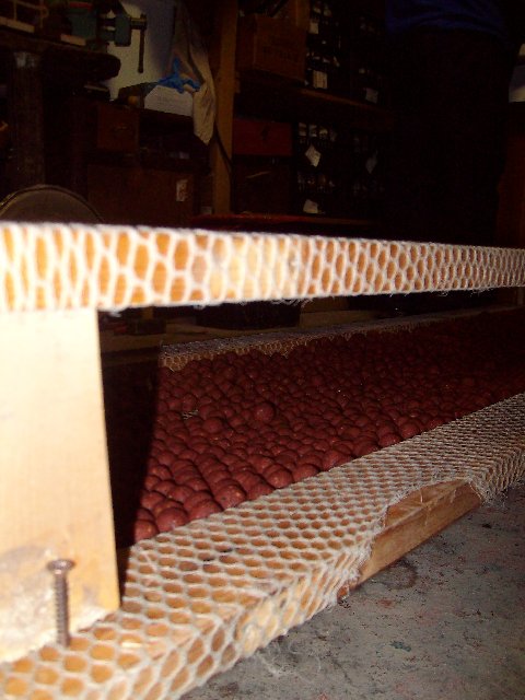 ALIM2317.JPG