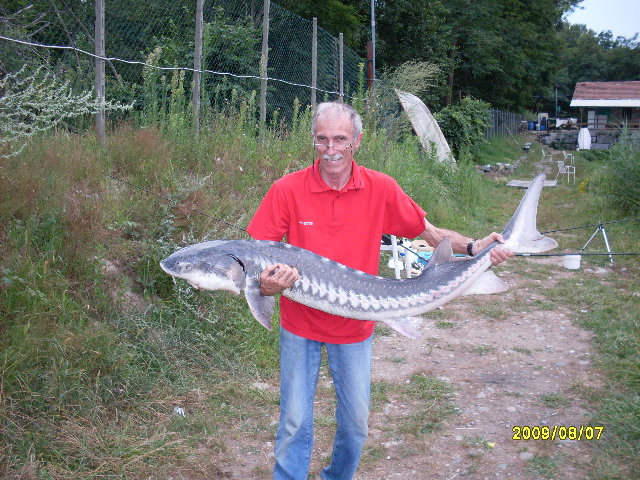 SDC10104.JPG